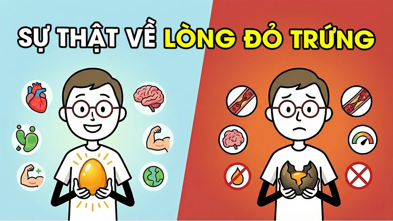 Lòng Đỏ trứng: Là 