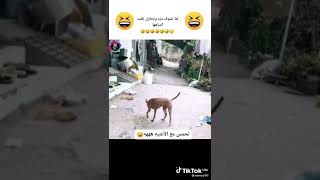 ١٦ مارس ٢٠٢٢