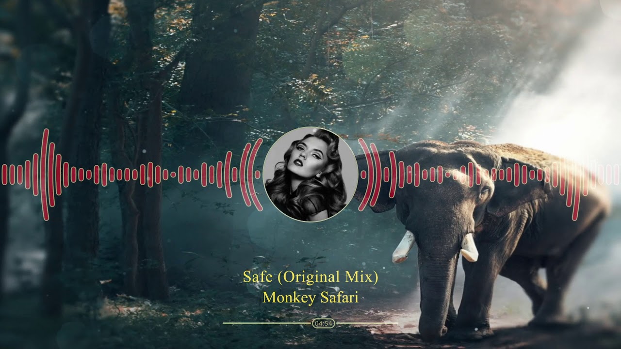 monkey safari safe singer