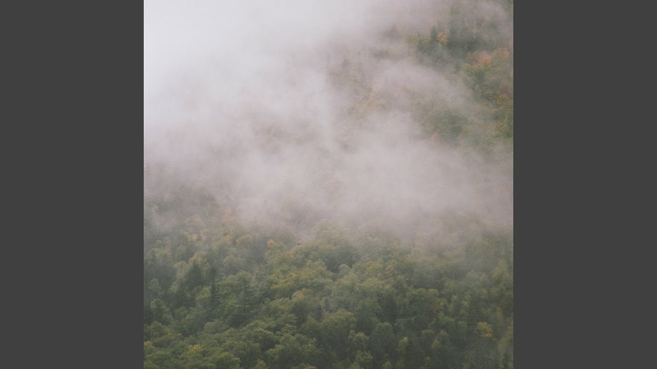 Watch Forest Echoes on YouTube Watch Forest Echoes on YouTube
