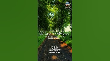 Surah Al Fil سورة الفيل | BEST - Holy Quran