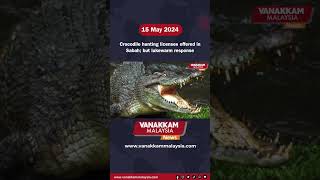 15/05/2024: Crocodile hunting licenses offered in Sabah; but lukewarm response