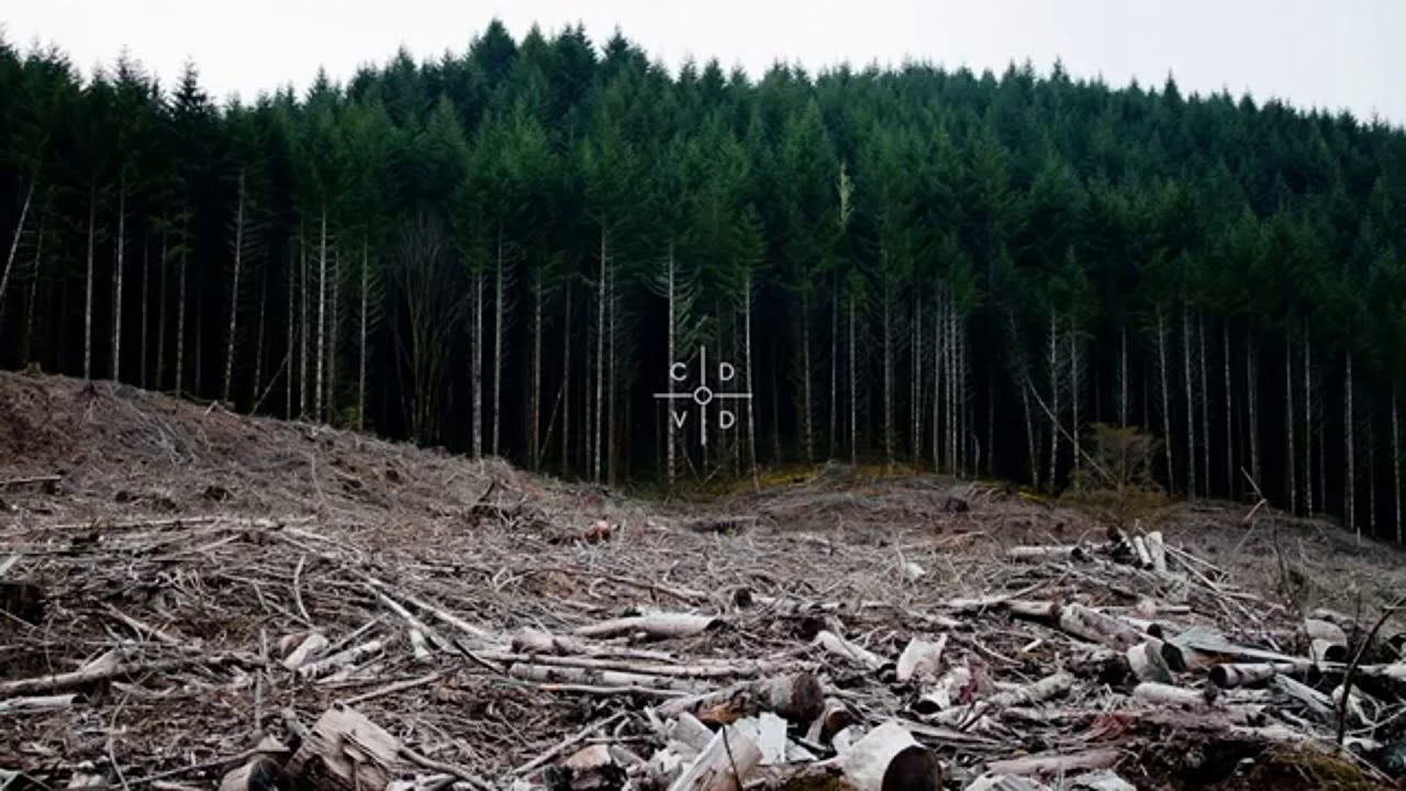 BRENNAN SAVAGE – More Than Ever