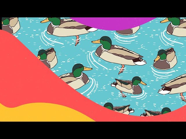 Dave Winnel - The Quack