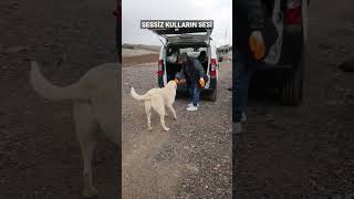 Hayat Paylaştikça Güzel