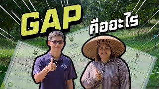 GAP คืออะไร และขอรับรองอย่างไร