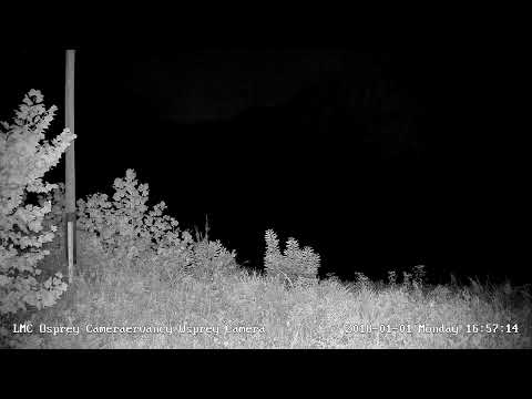Little Miami Osprey Nest live cam preview