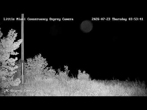 Little Miami Conservancy Osprey Nest Camera — Morrow, OH live camera thumbnail