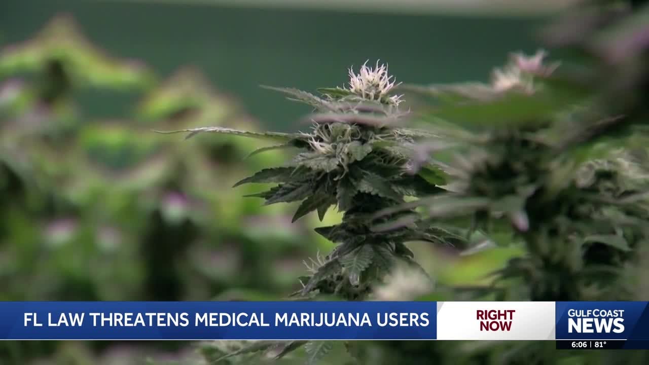 Florida law could strip medical marijuana rights from thousands of patients