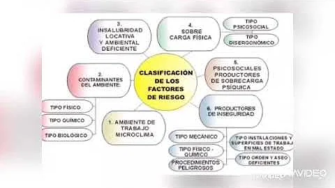 ¿Cuáles son los 4 tipos de factores de riesgo?