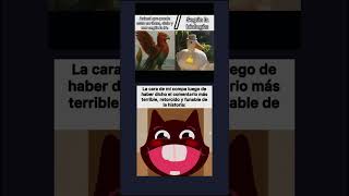 Los patos son todo terrenos 👻 #humor #memes
