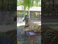 Tiger Park at Phuket with my dad