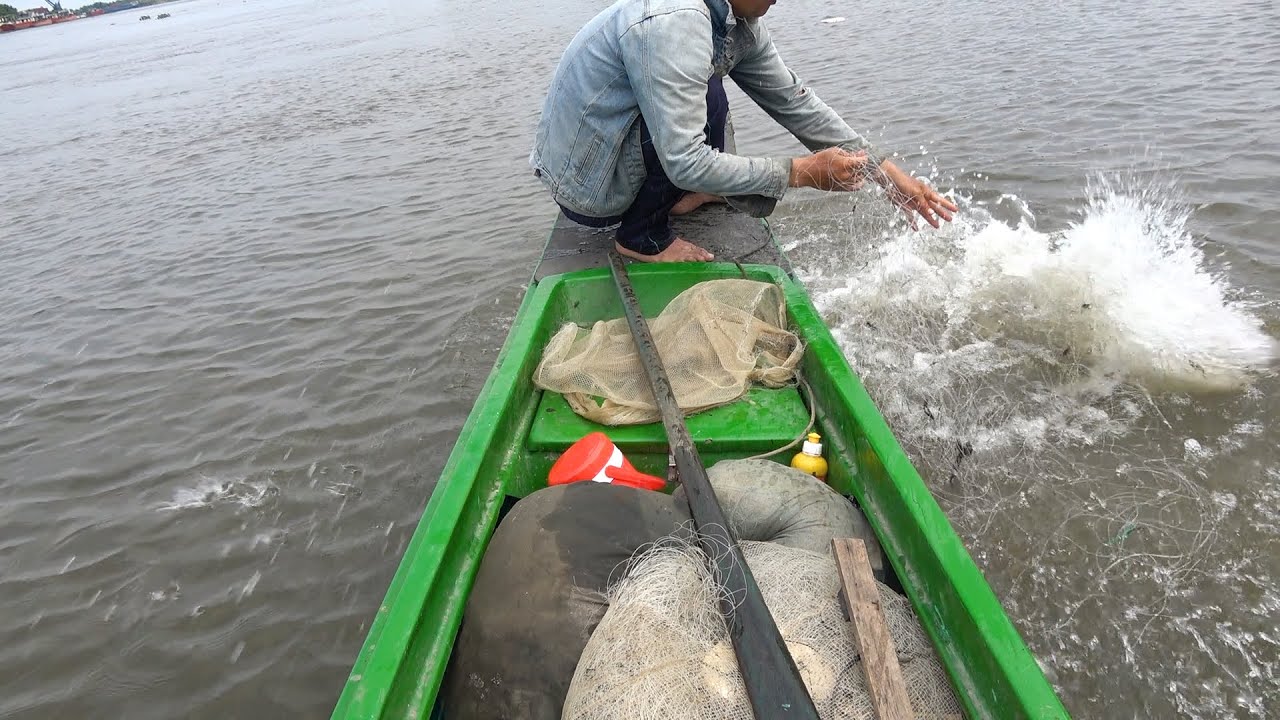 Giăng Lưới Bắt Cá Tra Khủng - Khu Vực Này Toàn Cá Tra Khổng Lồ - Dính Kiểu Này Giàu To #254