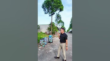 Cơ Hội Hiếm! Lô Góc Mỹ Phước 3 – Khu Dân Cư Đông Đúc – Chỉ 4,65 Tỷ#bdsbinhduong #datdautu #logoc