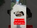 يا ربي احرزوا رواحكم حفرة في الطريق بير خادم بابا علي الجزائر اكسبلور اخبار الجزائر Shorts 