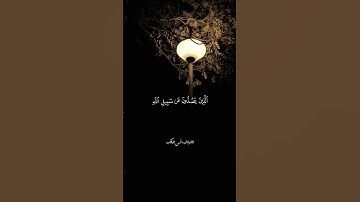 تلاوة خاشعة القارئ أنس المالك حفظه الله