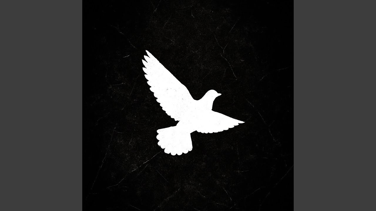 Watch ANYONE on YouTube Watch ANYONE on YouTube