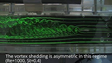 Flapping foil in a hydrodynamic tunnel: asymmetric vortex shedding