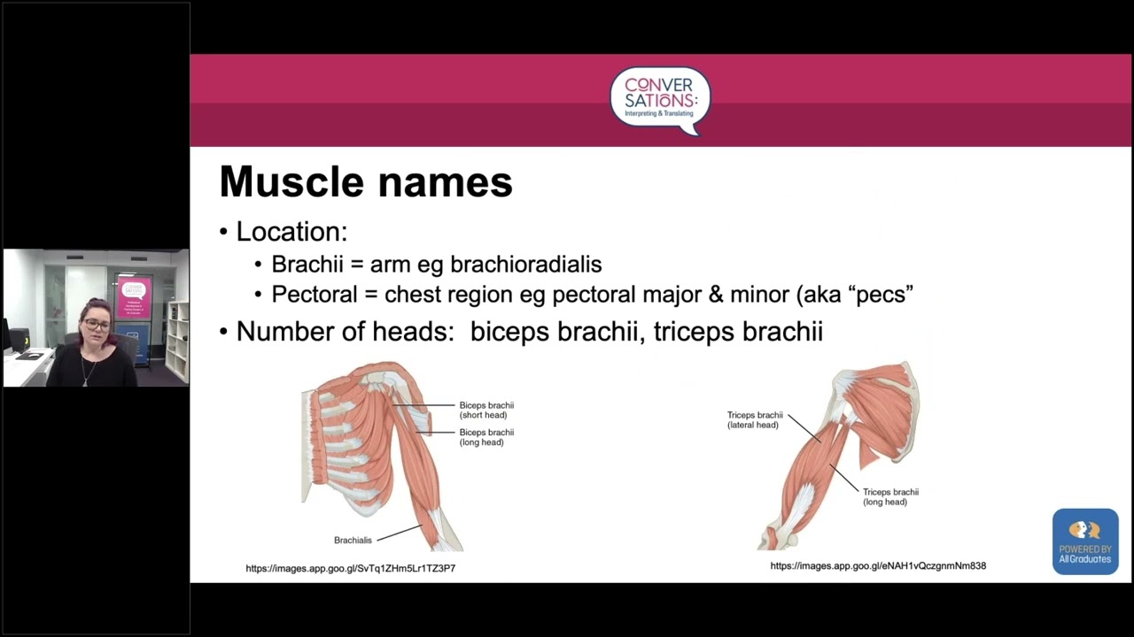 Introduction to the Musculoskeletal System Part 2 - The Muscular System