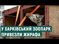 У Харківський зоопарк привезли жирафу