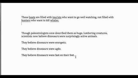 Appositive--Combing Sentences