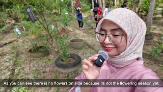 BIO464 Fieldtrip AS249 (Quadrat sampling and Leaf length)