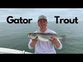 Chesapeake Bay Speckled Trout Fishing