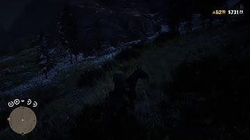 Invisible players RDR2 Online