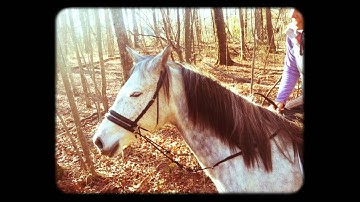 UBB - Leather Version