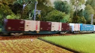 JR EF510 series by TOMIX pulling seven koki cars
