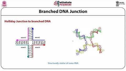 Design of nanostructures from nucleic acids