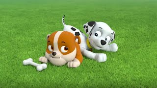 Paw Patrol Marshalls Wipeout