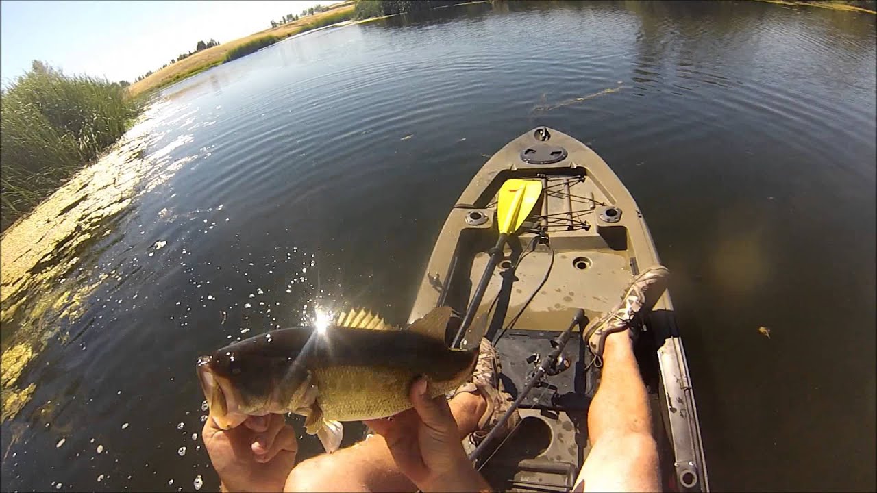 Kayak frog fishing (Farm Pond) YouTube
