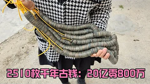 蓋房子找到2510枚千年古錢，專家：快來！最低80萬，20億零800萬 - 天天要聞