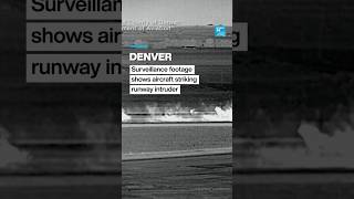 Denver airport: Surveillance footage shows moment aircraft fatally struck runway intruder