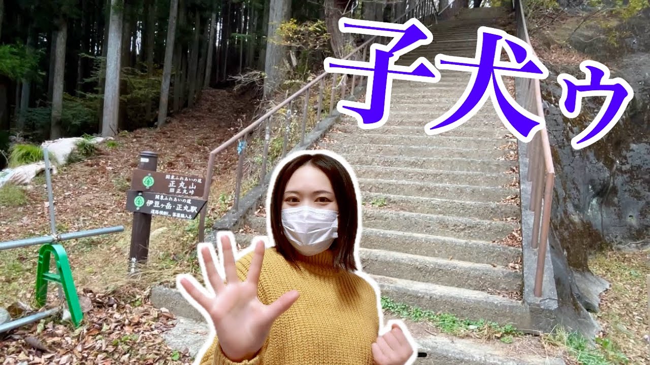 【正丸峠 復路】DEJA VUのパラパラと共に【頭文字D】