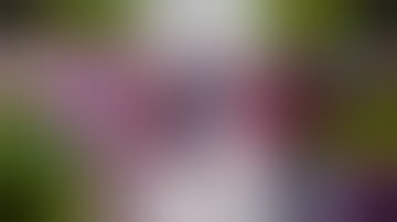 scan round 821 vs my scan videos and j cooley