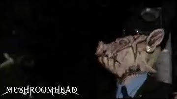 Mushroomhead - Damage Done (Official Video)