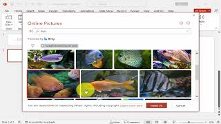 How to insert online pictures in PowerPoint 2007