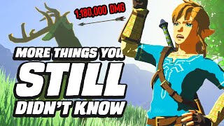 25 MORE Things You STILL Didn't Know In Zelda Breath Of The Wild