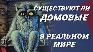 Существует ли домовые в реальном мире?