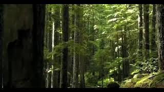 Kişi Nasıl Takva Ehli Olur ? Ebu Hanzala Hoca Halis Bayancuk