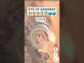 The EYE Of The SAHARA Seen On Google Earth Shorts
