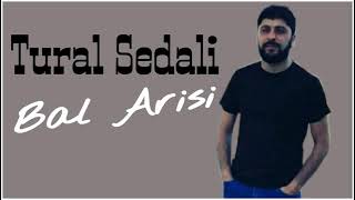 Tural Sedali Bal Arisi (2022) #trend #turalsedali #azerbaycan #bölgeselincelme Resimi