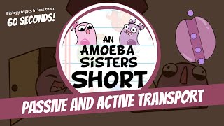 Passive and Active Transport - Amoeba Sisters #Shorts