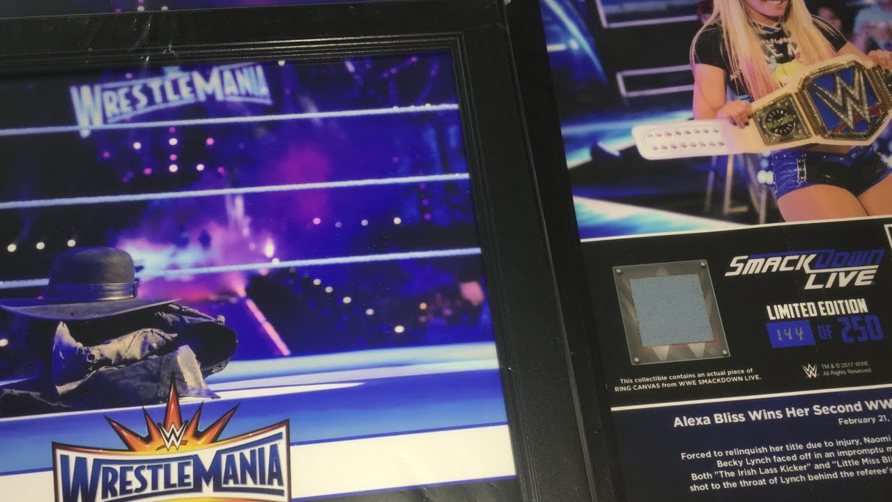 WWE PLAQUE PICKUPS UNBOXING 2017 Alexa Bliss Undertaker YouTube