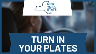 Ny Dmv How To Turn In Plates Step-By-Step Guide