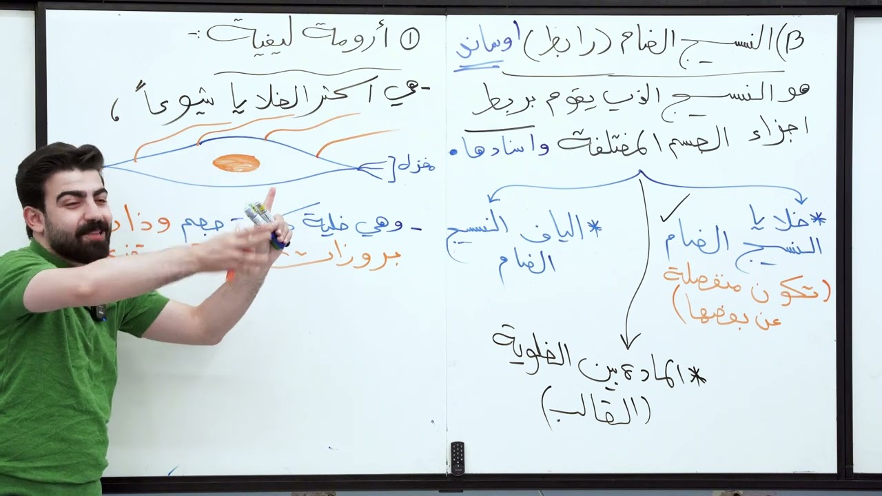 تصوير 2025 يوتيوب | الفصل الثاني | الأنسجة ( المحاضرة السابعة ) خلايا النسيج الضام و وزارياتها