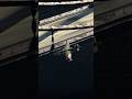 Missiles Away – Jet Fighter in Combat