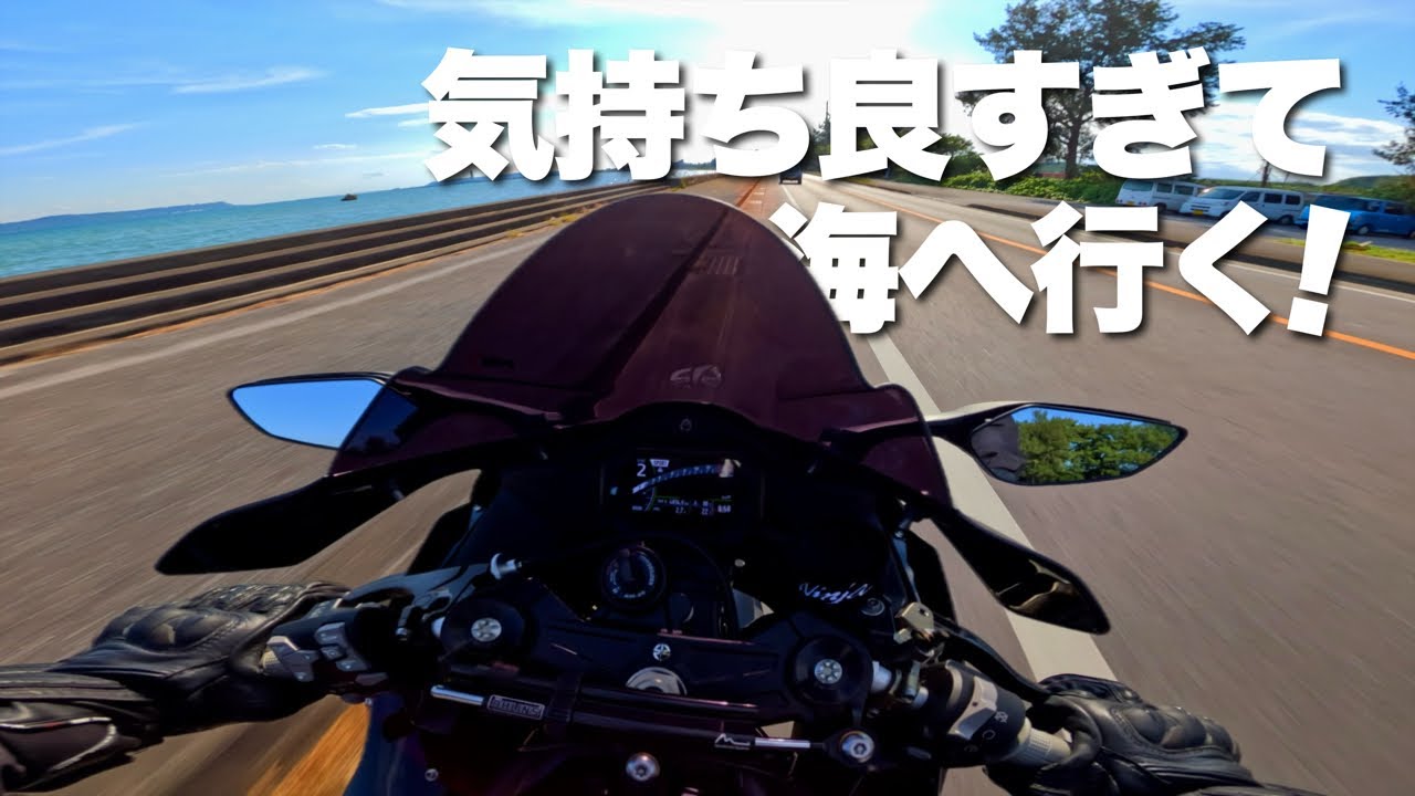 気持ち良すぎる！ | Kawasaki ZX10R | Pure sound - YouTube